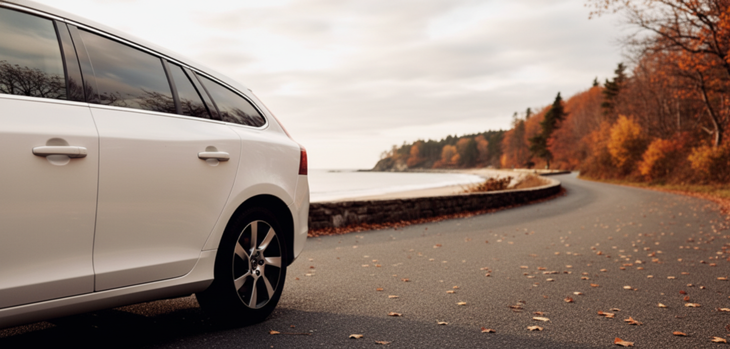 Evaluating Smart Chargers with Dedicated Storage-Maintenance Modes