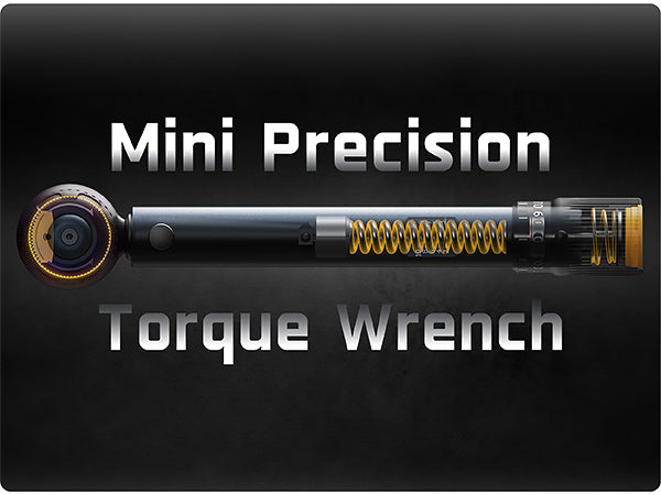 Fanttik WB10 Nova 1/4 Inch Drive Click Torque Wrench Set, 2-10 Nm, 14 Bits Dual-Direction Adjustable 72-Tooth Torque Wrench for Bike
