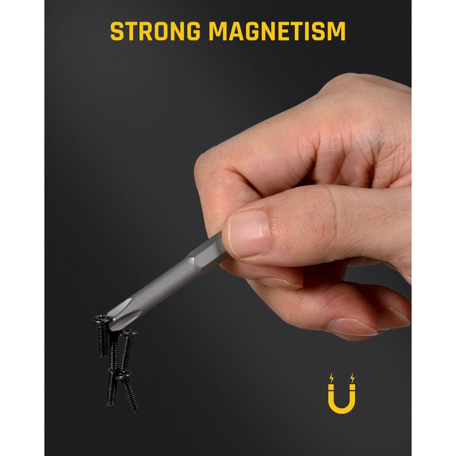 Fanttik X1 Mag Screwdriver Bits, 12-in-1 Screwdriver Bit Set, S2 Steel, 1/4" Hex, 2 inches Screwdriver Bits, Magnetic Aluminum Case Storage