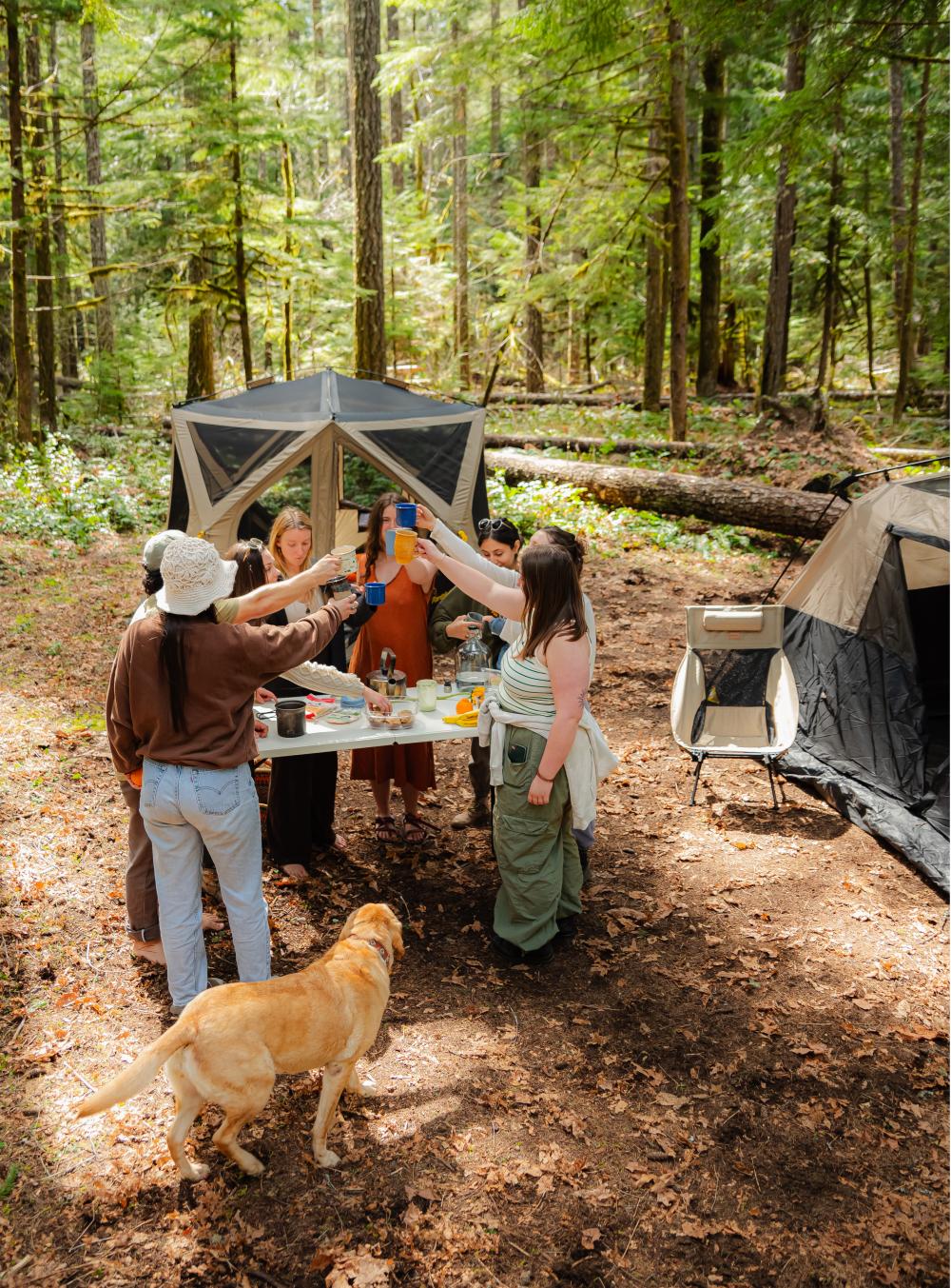 From lightweight tents to folding tables, FanttikOutdoor has safe and enjoyable camping gear for your outdoor family adventurese.